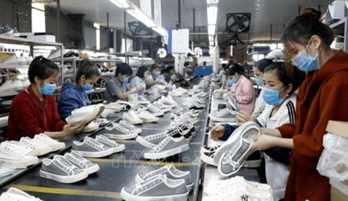 订单大增 复工率100 越南多家纺织服装厂订单已排至今年第3季